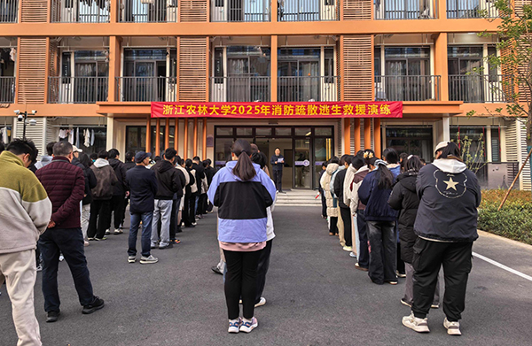 1764838911380717.jpg 4.jpg