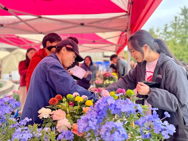 1765175276398551.jpg 3.jpg