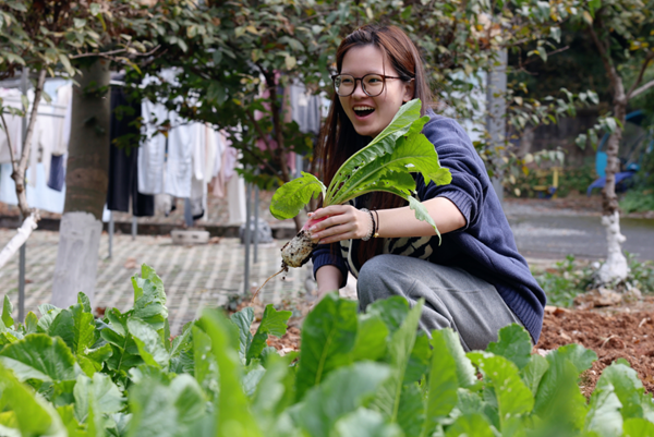 1766026809452529.png 4.png