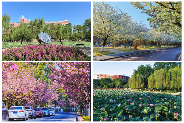 1766480580109303.jpg 光影魔术手拼图1.jpg