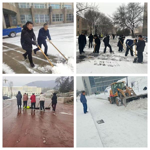 1767517545661821.jpg image005.jpg