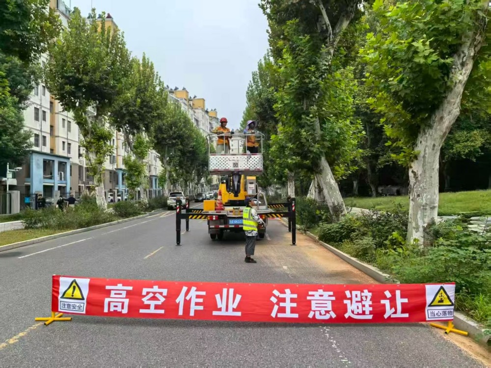 图4 高空修枝（环维中心供图）.jpg